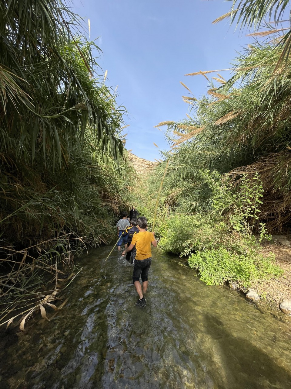 צלמו תמונות שתופסות את הרגע